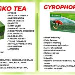 Gingko Herbal Tea - Boost Your Wellness Naturally In Nigeria