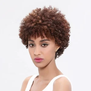 Wholesale Brazilian Afro Kinky Curly Human Hair Wig