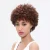 Wholesale Human Hair Wig Brazilian Afro Kinky Curly Wigs for Black Women Non Lace Front Human Hair Wigs