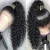 Cheap Kinky Curly Human Hair Wigs Human Hair Lace Front Wig Vietnamese Virgin Hair Glueless Hd Lace Frontal Wigs for Black Women