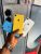 Apple iPhone XR Series 256GB Now Available Online in Abuja